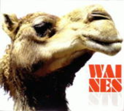 Waynes – Stu