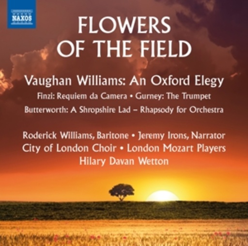Diverse – Flowers Of The Field