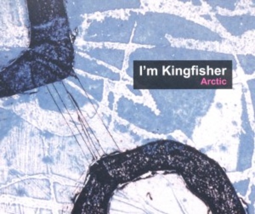 I'm Kingfisher – Arctic