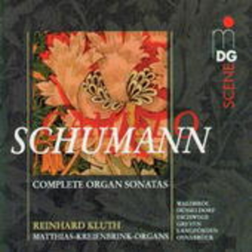 Reinhard Kluth – Sämtliche Sonaten für Orgel