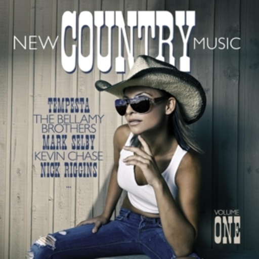 Diverse – New Country Music Vol. 1