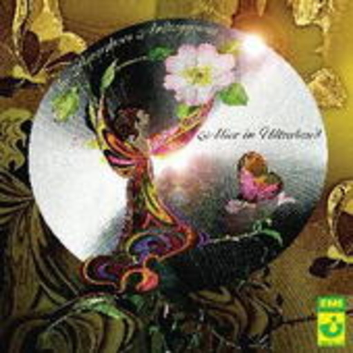 Amorphous Androgynous – Alice In Ultraland