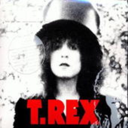 T. Rex – The Slider