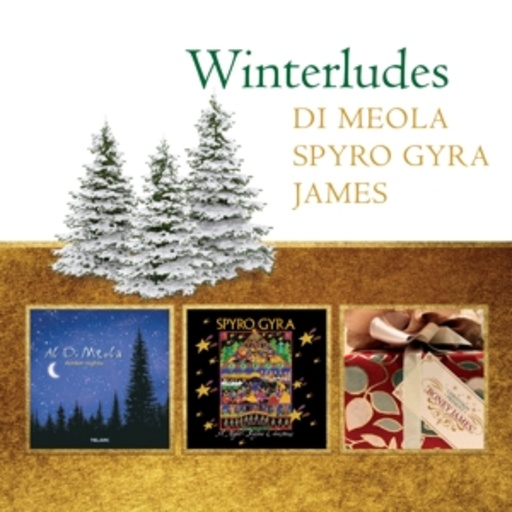 Diverse – Winterludes