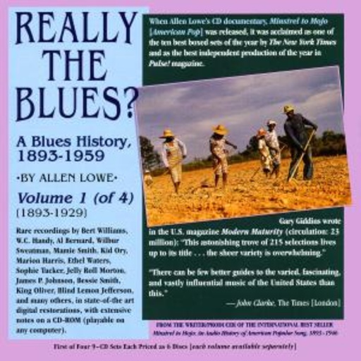 Diverse – Really The Blues? - A Blues History 1893-1959