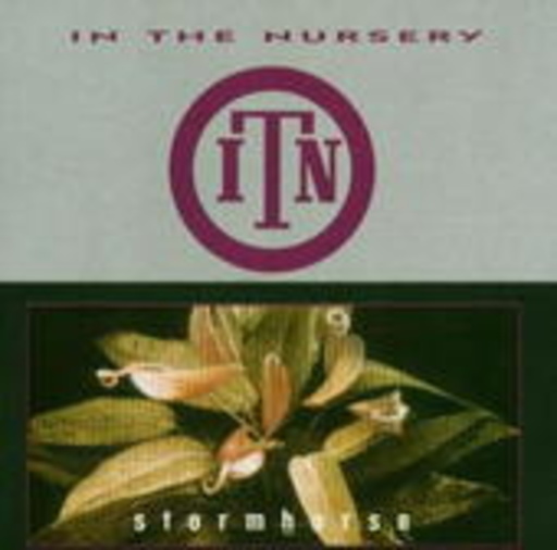 In The Nursery – Stormhorse