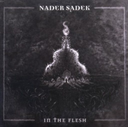 Nader Sadek – In The Flesh