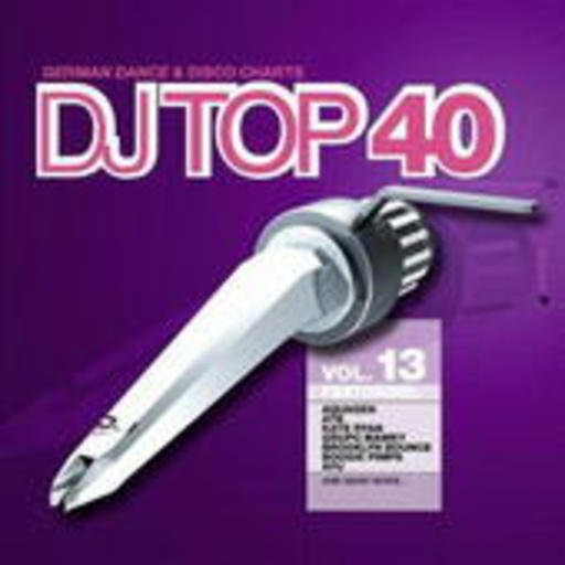 Diverse – DJ Top 40 Vol. 13