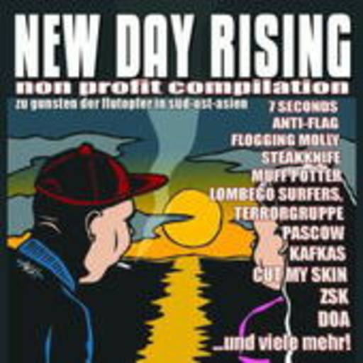 Diverse – New Day Rising