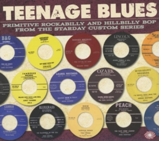 Diverse – Teenage Blues