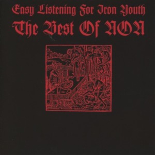 NON – Easy Listening For Iron Youth