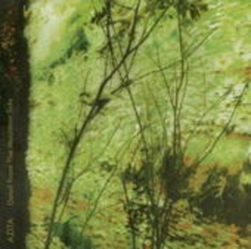 Azita – Detail From The Mountain Side EP