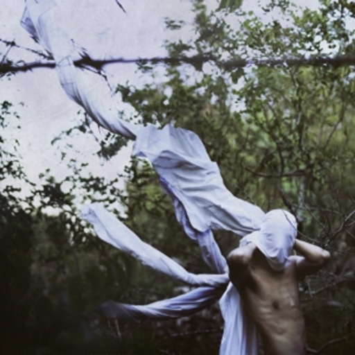 Petre Inspirescu – Vin Ploile