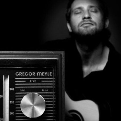 Gregor Meyle – Live - Laut und leise