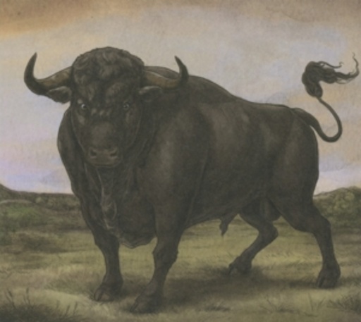 San Fermin – San Fermin