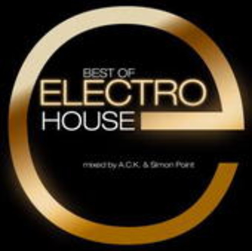 Diverse – Best Of Electro House 2009 - In The Mix