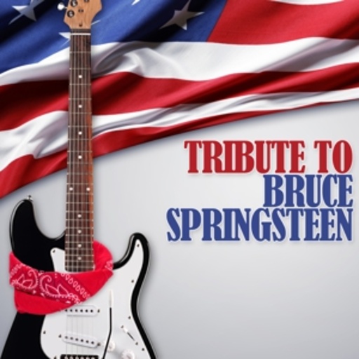Diverse – Tribute To Bruce Springsteen