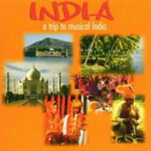 Diverse – India - A Trip To Musical India