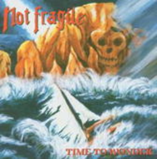 Not Fragile – Time To Wonder