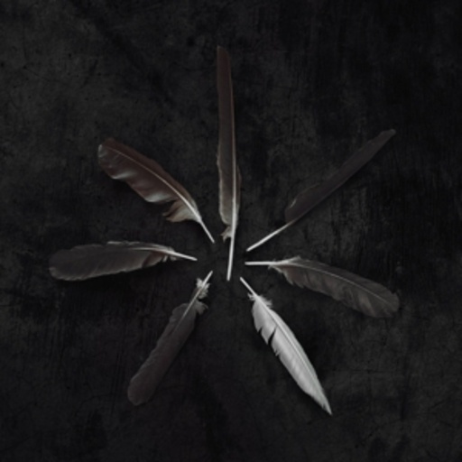 Caspian – Dust And Disquiet