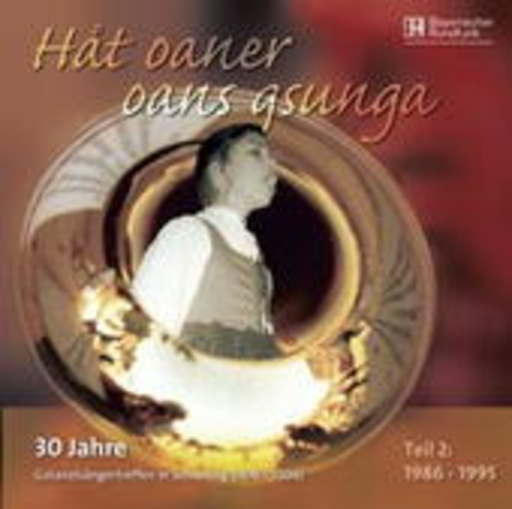 Diverse – Hat oaner oans gsunga - Teil 2 (1986-1995)