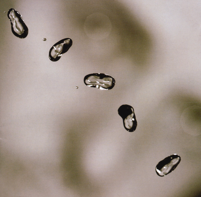 Peter Gabriel – Up