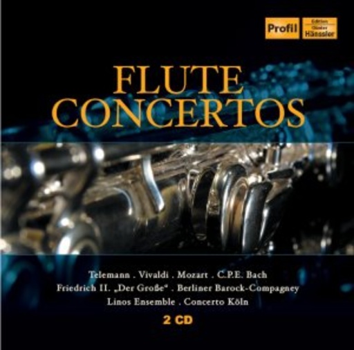 Diverse – Flute Concerto