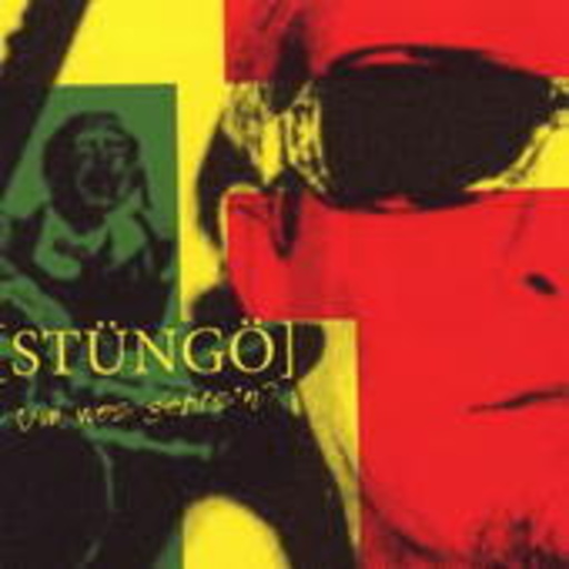 Stüngö – Um was geht's n?