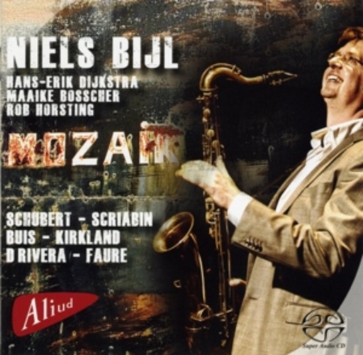 Niels Bijl – Mozaik
