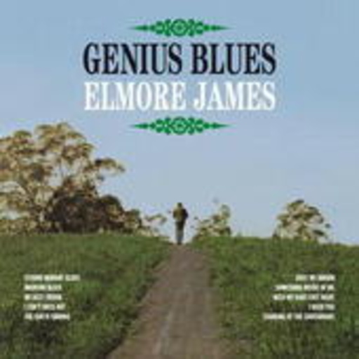 Elmore James – Genius Blues