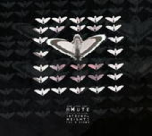 Amute – Infernal Heights For A Drama
