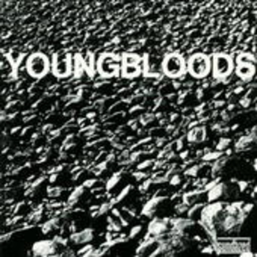 The Youngbloods – Rock Festival