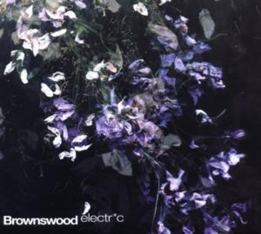 Diverse – Brownswood Electric
