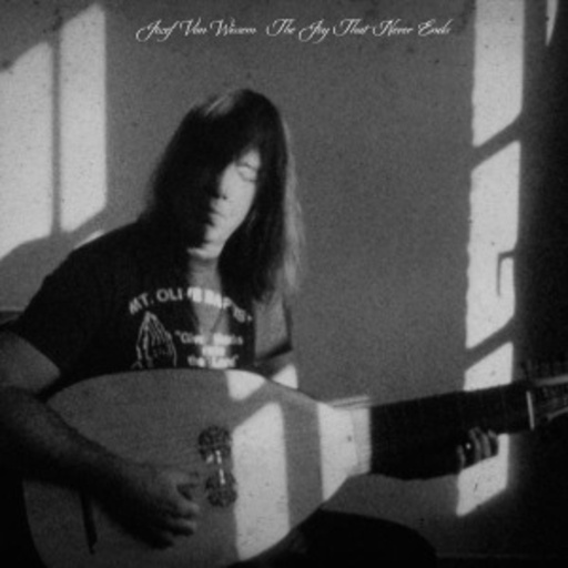 Jozef Van Wissem – The Joy That Never Ends