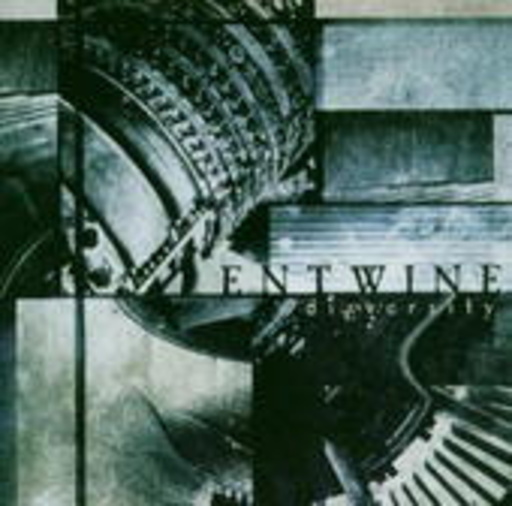 Entwine – Diversity