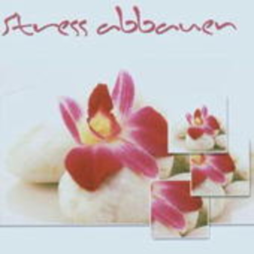 Diverse – Stress abbauen