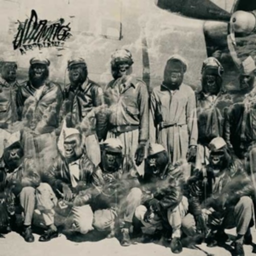 DDamage – Aeroplanes