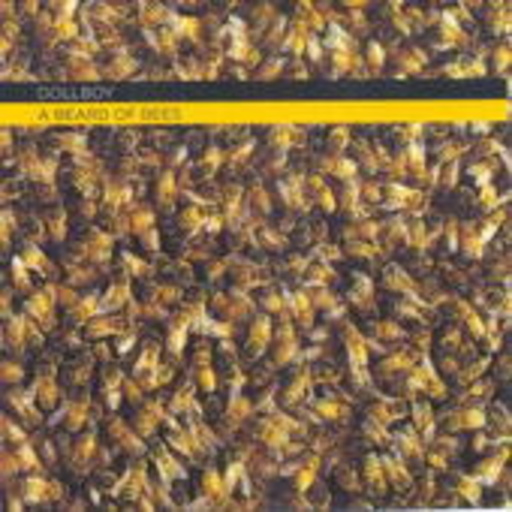 Dollboy – A Beard Of Bees