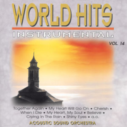 World Hits Instrumental Vol. 14