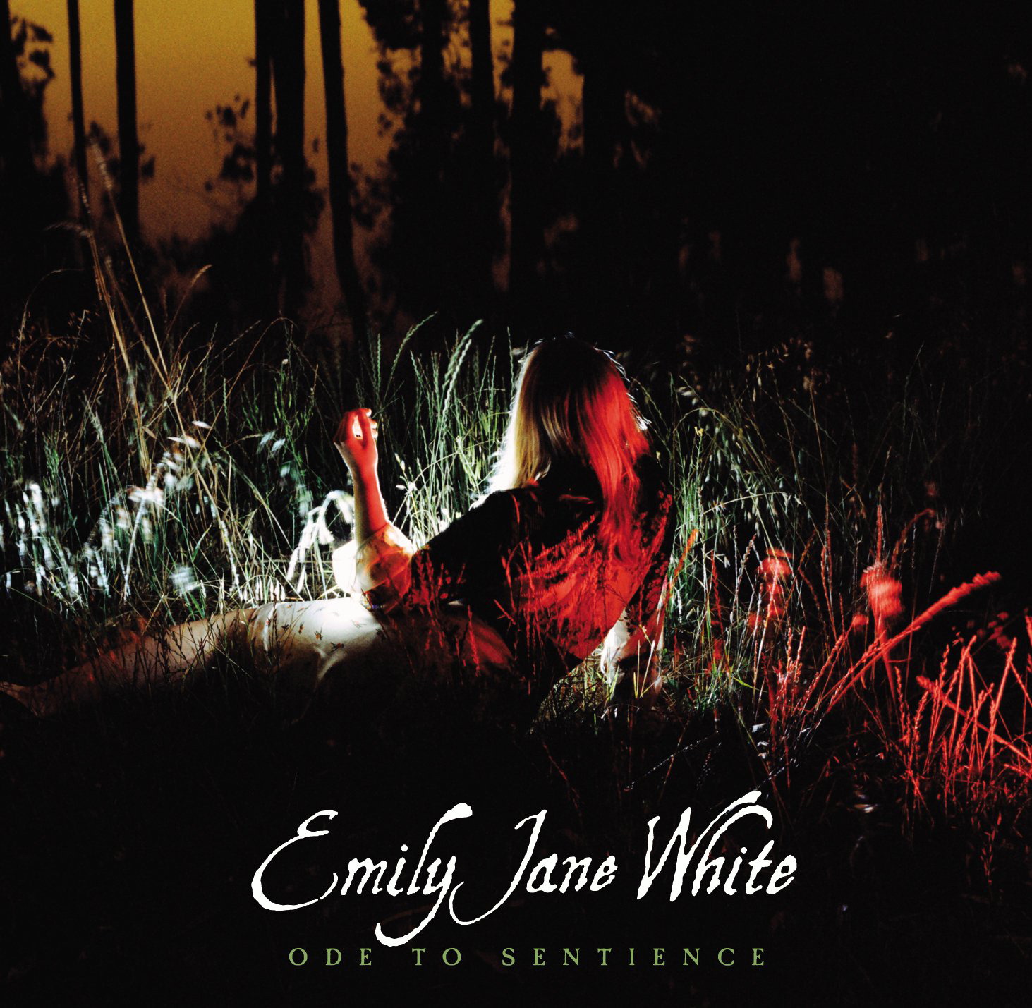 Emily Jane White – Ode To Sentience