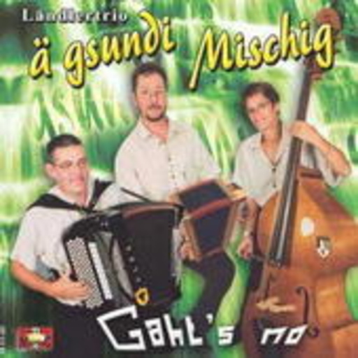 Ländlertrio Ä Gsundi – Gahts no