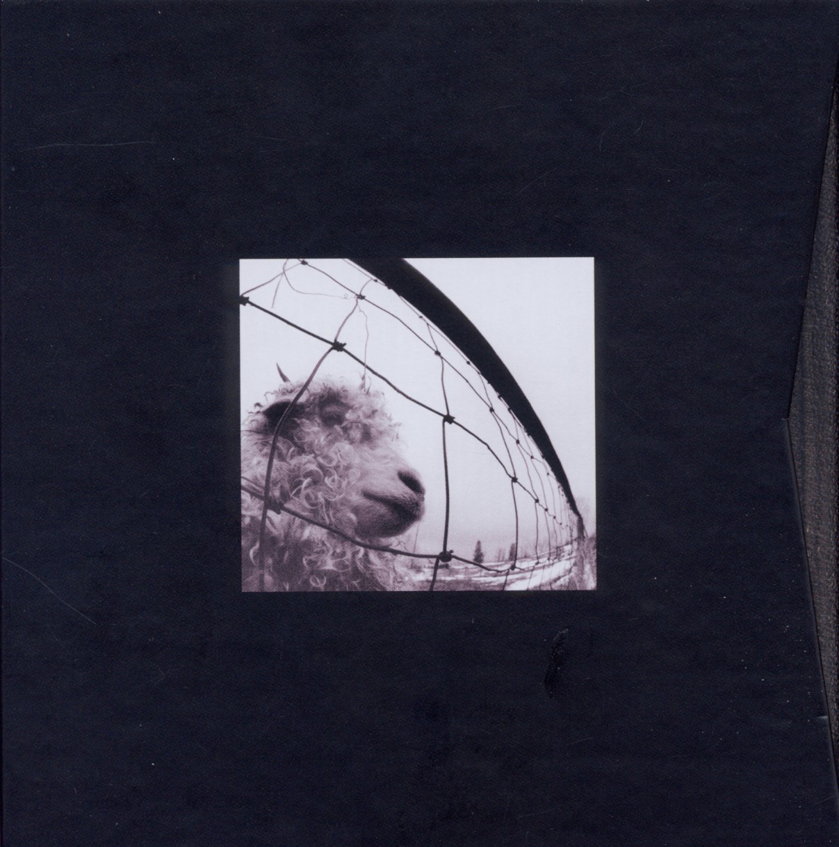 Pearl Jam – 1993-1995