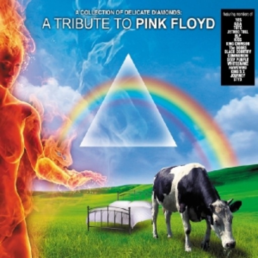 Diverse – Collection Of Delicate Diamonds - A Tribute To Pink Floyd