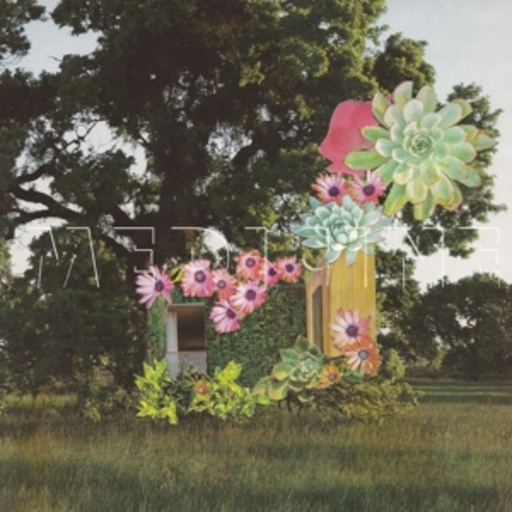 Medicine – Home Everywhere