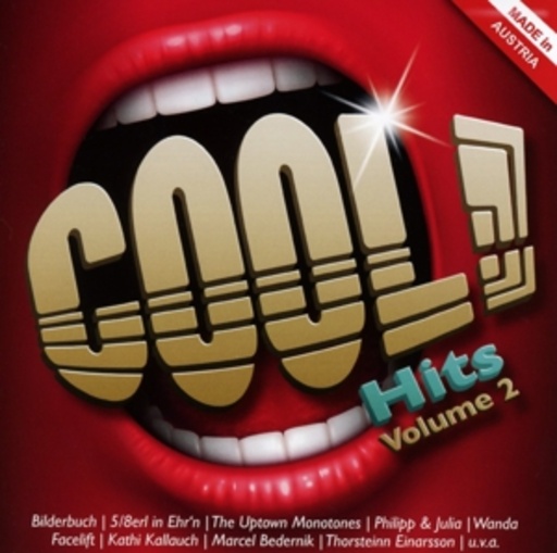 Diverse – Cool Hits - Made In Austria Vol. 2