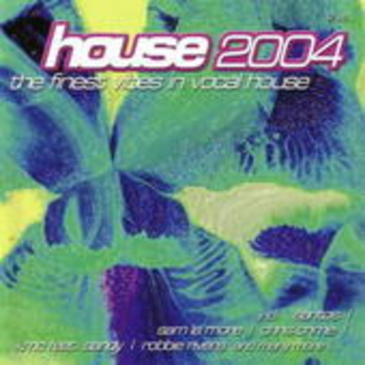 Diverse – House 2004 - Finest Vibes In Vocal House