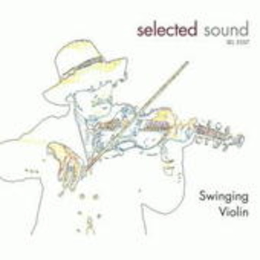 Diverse – Swinging Violin