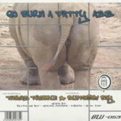 Thomas Trouble & Blutonium Boy – Go Burn A Fatty Ass