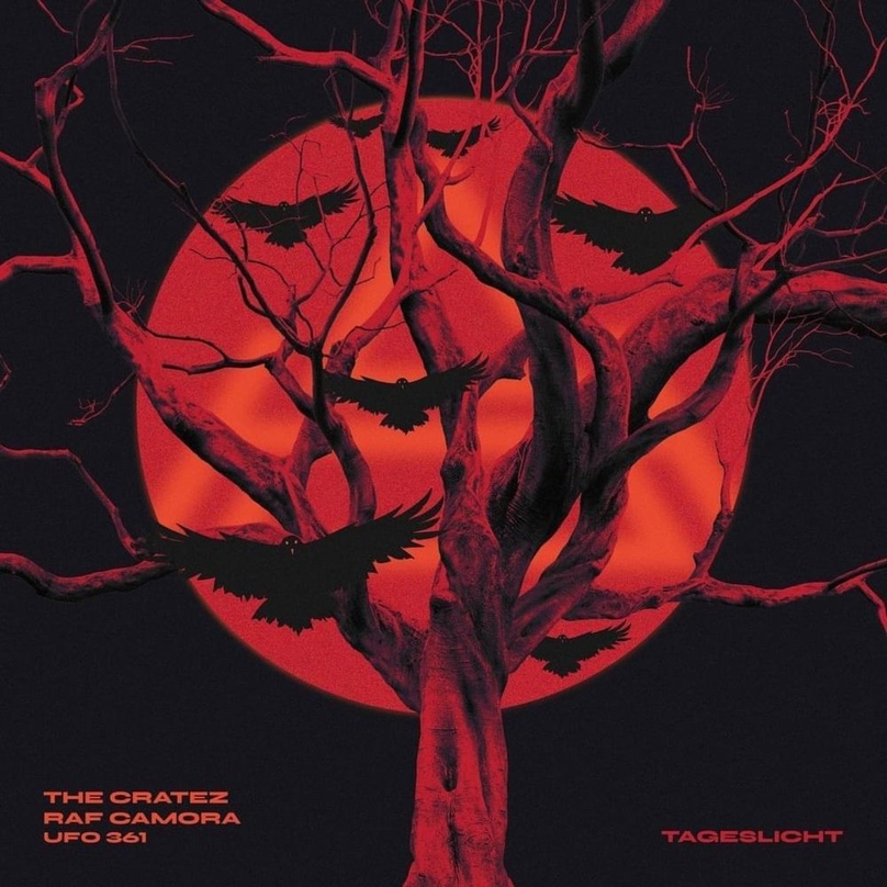 Raf Camora, Ufo361 und The Cratez landen mit dem Track "Tageslicht" auf Platz eins der Spotify-Daily-Top-Songs-Germany