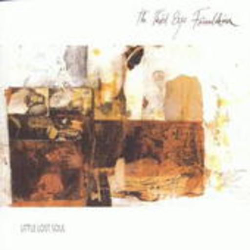 Third Eye Foundation – Little Lost Souls